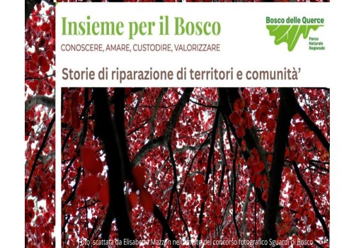 Storie di riparazione di territori e comunità.