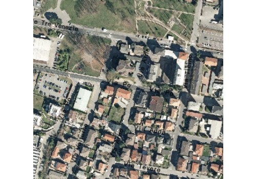 Immagine che raffigura Intervento straordinaro di disinfestazione da zanzara tigre