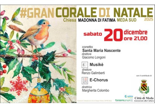 Vivi l'emozione della tradizione: il #GRANCORALEDINATALE illumina la notte di Meda Sud.