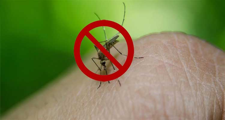 Immagine Avviso intervento di disinfestazione adulticida da zanzare