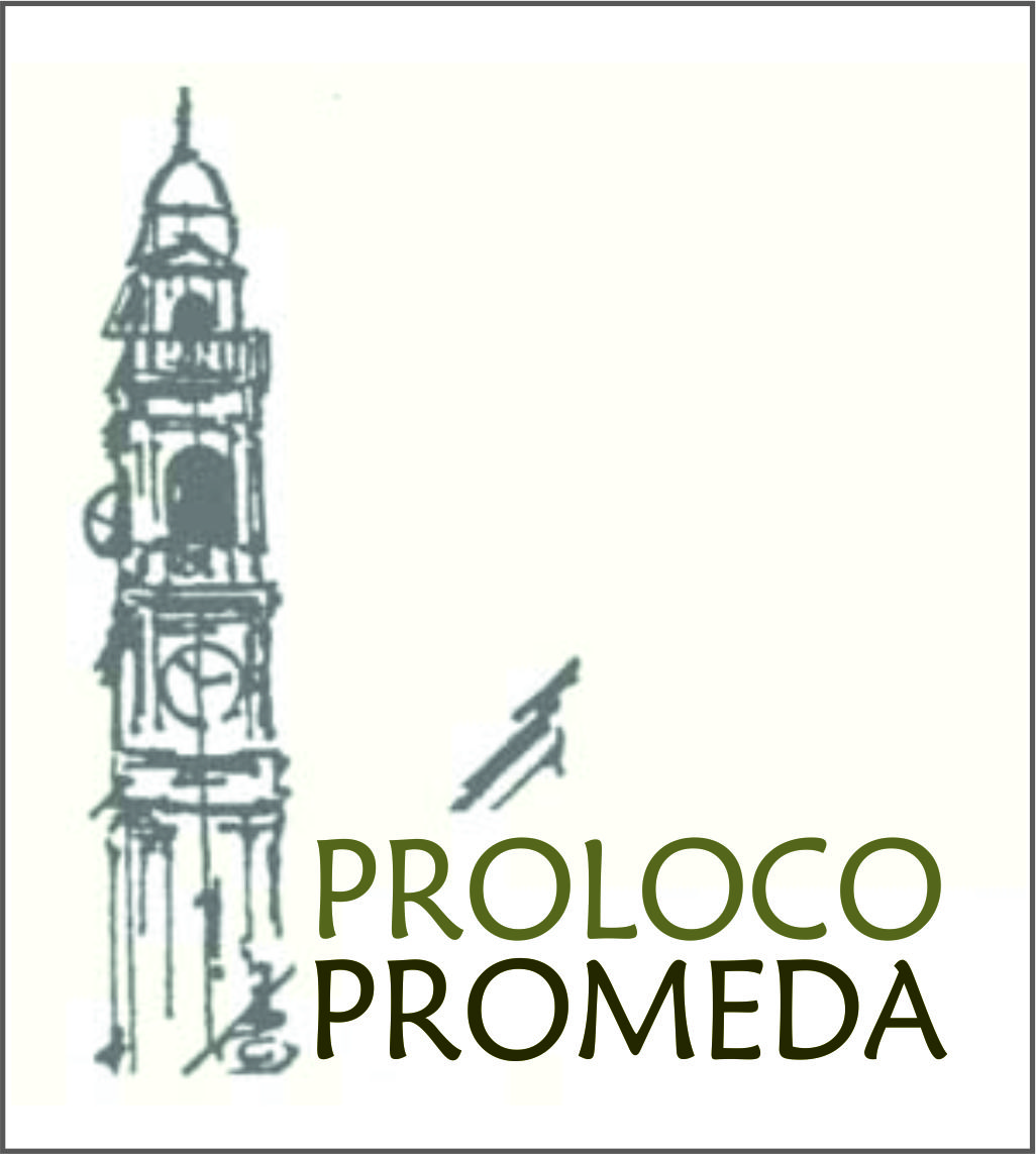 Immagine Pro loco Pro Meda