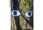 Riconosci il bosco come organismo vivente e non come semplice risorsa.