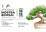 L'arte millenaria dei piccoli alberi torna a Meda: lasciatevi incantare dalla bellezza e dalla pazienza della 27ª Mostra Bonsai.