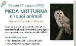 Sabato 27 giugno, un'escursione ornitologica serale guidata in Brughiera per ascoltare i suoni della fauna notturna al chiaro di luna.