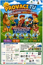 una giornata nei panni dell'altro, non guardare... entra in campo!