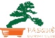 Logo associazione Pasquè Bonsai Club